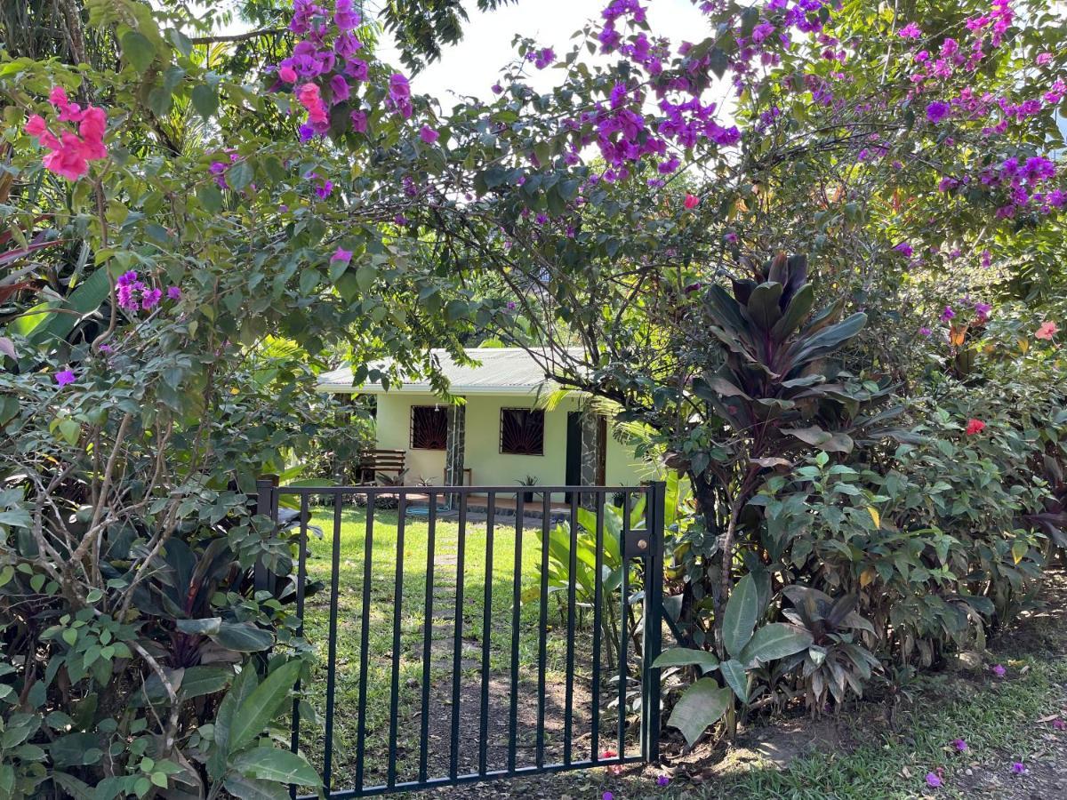 Casita Corcovado Tropical Beach House Drakes Bay Exterior foto