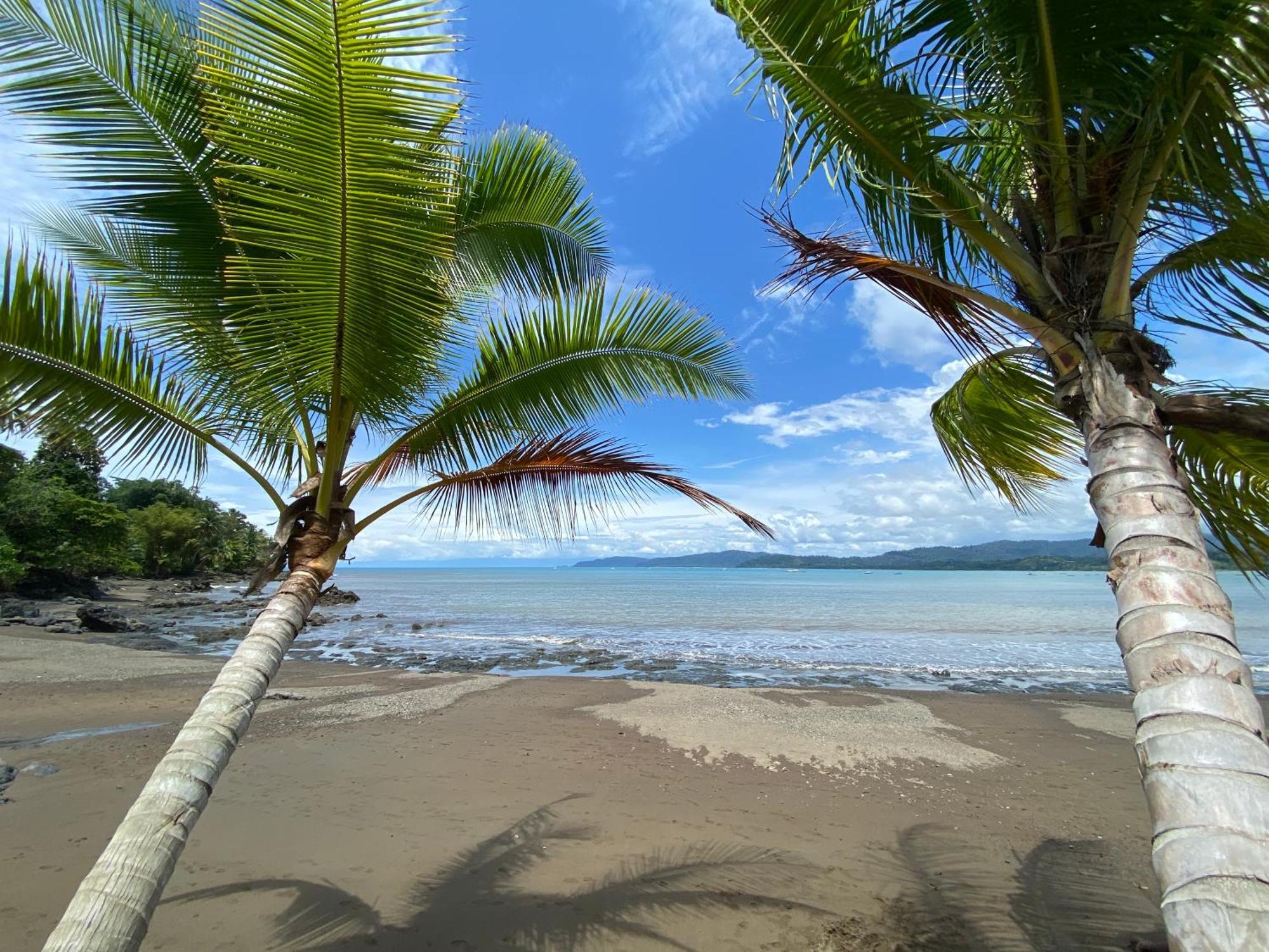 Casita Corcovado Tropical Beach House Drakes Bay Exterior foto